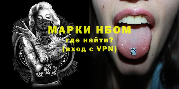 гашик Пестово