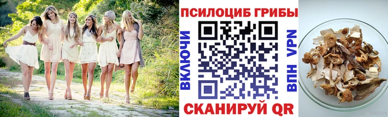 Псилоцибиновые грибы Psilocybe  Лабытнанги 